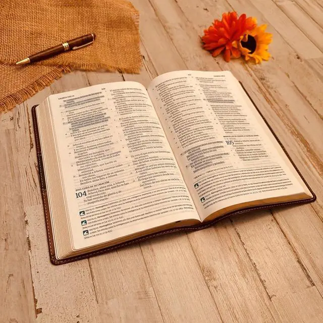 Alt view image 7 of 7 - Biblia personalizada en español con nombre grabado, Biblia Reina Valera 1960, Biblia personalizada con nombre grabado, regalos de bautismo
