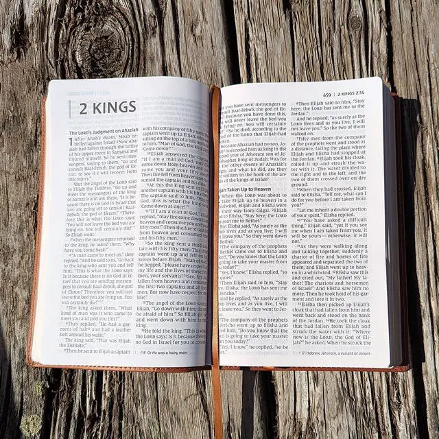 Alt view image 4 of 7 - Personalized NIV Personal Bible with Crown of Thorns | Large Print (Brown Lion Front)