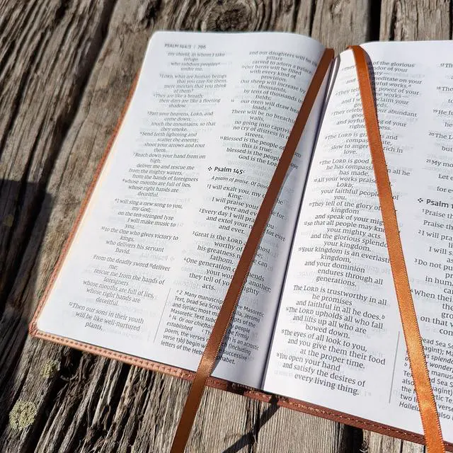 Alt view image 6 of 7 - Personalized NIV Personal Bible with Crown of Thorns | Large Print (Brown Lion Front)