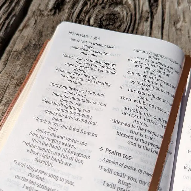 Alt view image 6 of 7 - Personalized NIV Personal Bible with Crown of Thorns | Large Print (Brown Lion Side Profile)