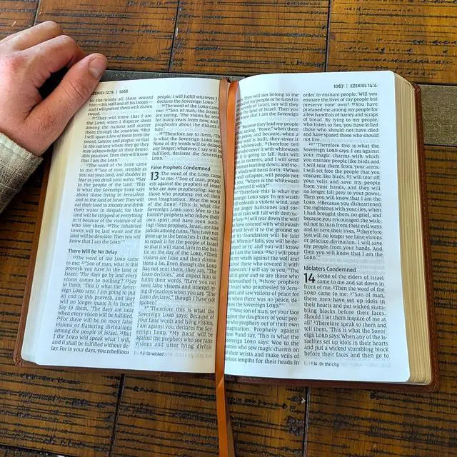 Alt view image 6 of 7 - Personalized NIV Personal Bible with Crown of Thorns | Large Print (Brown)