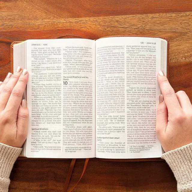 Alt view image 4 of 7 - Personalized NIV Personal Bible with Crown of Thorns | Large Print (Brown Knight Standing Solo)