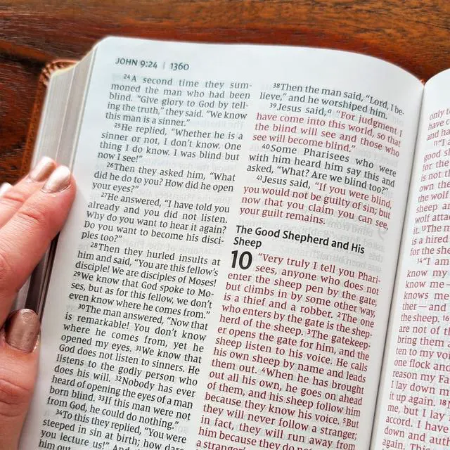 Alt view image 6 of 7 - Personalized NIV Personal Bible with Crown of Thorns | Large Print (Brown Knight Standing Solo)