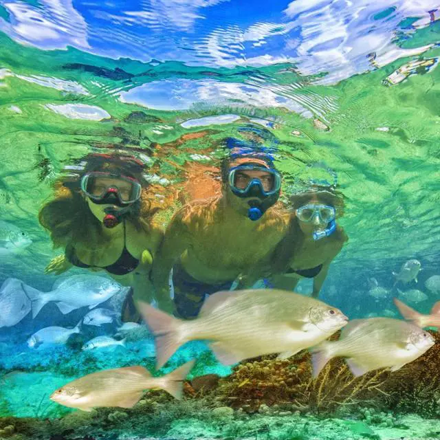 Alt view image 6 of 7 - Sport Adult Visio Tri-Ex Black Series Mask and Dry Snorkel Combo