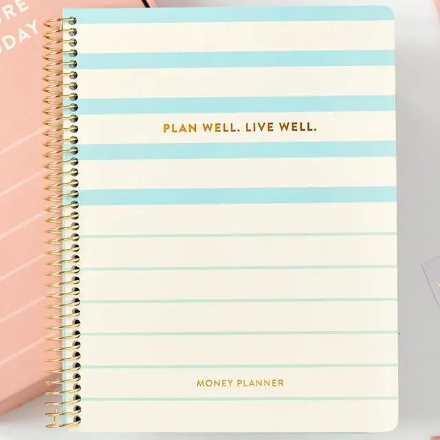 Main image of PPP Money Planner | 10 Cash Budget Envelopes | Budget Planner | Annual & Monthly Financial Worksheet, Expense, Saving & Debt Reduction Pages | Stickers | Long-Term Financial Goals | Spend Ledger
