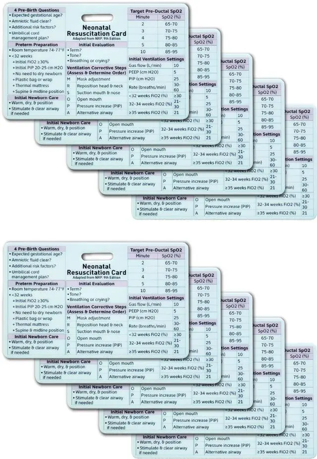 Main image of Neonatal Resuscitation Card - Badge Buddy Adapted from 9th Edition NRP for NICU Nurses, Respiratory Therapists, NNPs, & Healthcare Professionals (10, Horizontal)