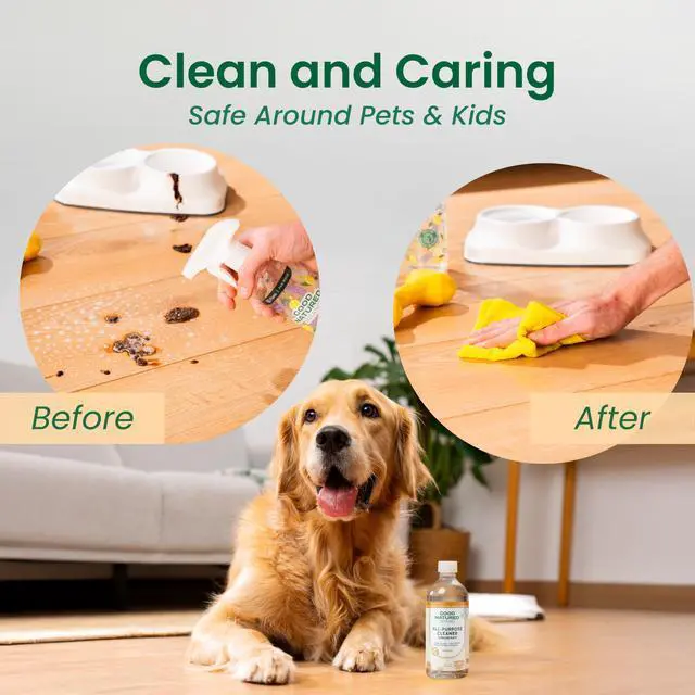 Alt view image 6 of 7 - All-Purpose Cleaner Concentrate | 8oz makes 128oz | Orange Essential Oil | 16X Concentrated Natural Multi-Surface Cleaner