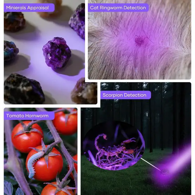 Alt view image 4 of 7 - UV 365nm Blacklight Flashlight Ultraviolet Low Lumen Dim Uv Light Wood's lamp Detector for Dog Urine Pet Stains Anti-counterfeiting Resin Curing (Powered by Single AA Battery, Not Included)
