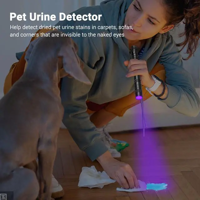Alt view image 3 of 7 - UV Black Light Flashlight Mini, 395nm Pen Light with Clip, Ultraviolet Blacklight for Pet Urine Detection, Waterproof Detector Light for Dry Stains, Bed Bug, Scorpion, Hotel Inspection-2 Pack