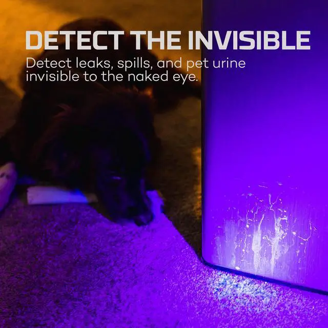 Alt view image 2 of 7 - Torchy UV and Black Light, Dual UVA Technology for Detection, Inspection, and Authentication