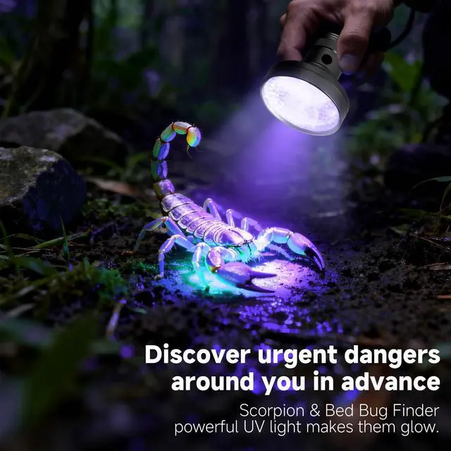 Alt view image 4 of 7 - 100 LED 395nm UV Flashlight Black Light, Portable Ultraviolet Torch for Pet Urine Detection, Stains, Scorpions, and Bed Bugs High Power UV Lamp (Batteries Not Included)