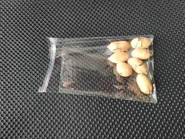 Alt view image 4 of 6 - 4" x 6" Self Seal Clear Cello Cellophane Resealable Plastic Poly Bags for Photo, Jewelry, Bakery, Treats, Party Favors4x6 "100pcs)