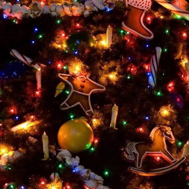 Alt view image 2 of 7 - 2 Pack Solar String Lights Outdoor, Total 80FT 240LED Solar Powered Waterproof Fairy Lights 8 Modes, Copper Wire Lights for Christmas Patio Party Tree Yard Decoration (Multi-Colored)
