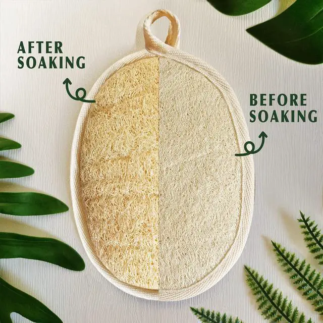 Alt view image 2 of 7 - Natural Loofah Sponge Exfoliating Body Scrubber (3 Pack),Made with Eco-Friendly and Biodegradable Shower Luffa Sponge, Loofah for Women and Men, Beige