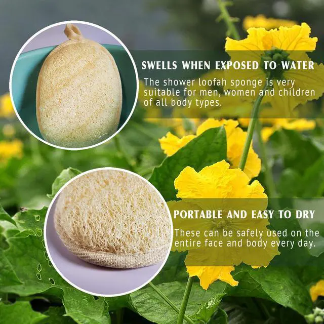 Alt view image 4 of 7 - Natural Loofah Sponge Exfoliating Body Scrubber (3 Pack),Made with Eco-Friendly and Biodegradable Shower Luffa Sponge, Loofah for Women and Men, Beige