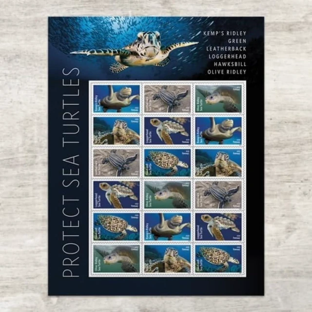 Main image of Protect Sea Turtles 2024 (5 Sheets of 18) Commemorative First-Class Mail Forever Postage Stamps