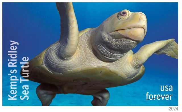 Alt view image 4 of 7 - Protect Sea Turtles 2024 (5 Sheets of 18) Commemorative First-Class Mail Forever Postage Stamps