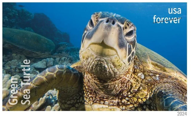 Alt view image 6 of 7 - Protect Sea Turtles 2024 (5 Sheets of 18) Commemorative First-Class Mail Forever Postage Stamps