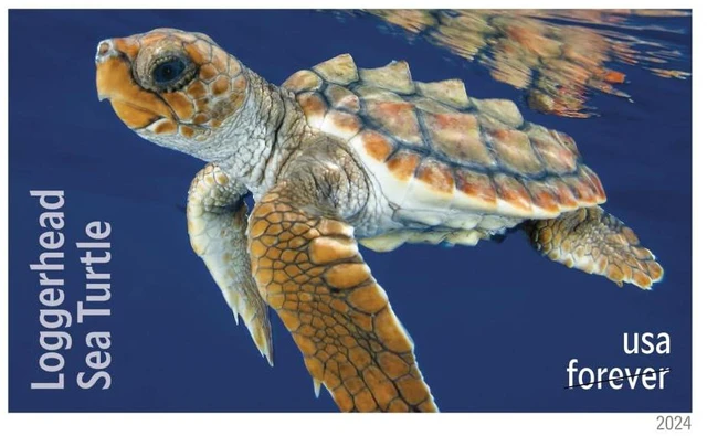 Alt view image 7 of 7 - Protect Sea Turtles 2024 (5 Sheets of 18) Commemorative First-Class Mail Forever Postage Stamps
