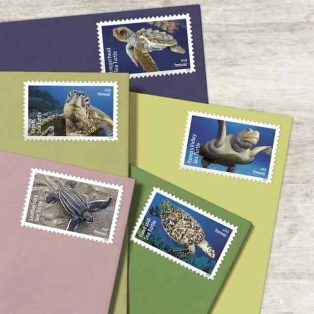 Alt view image 2 of 7 - Protect Sea Turtles 2024 (5 Sheets of 18) Commemorative First-Class Mail Forever Postage Stamps