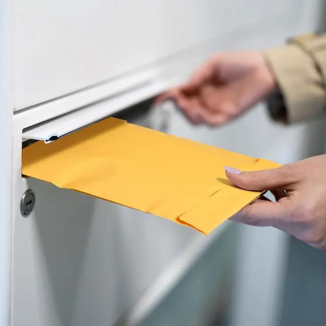 Alt view image 6 of 6 - 800 Counts 6 x 9 Inch Brown Envelopes Self Adhesive Security Catalog Mailing Envelopes with Adhesive for Mailing Storage Organizing Home Office