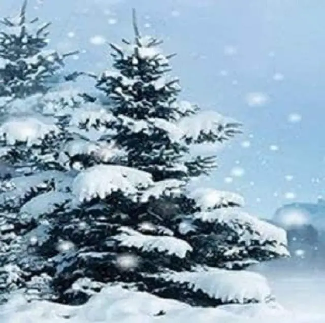Alt view image 2 of 5 - Beautiful Winter Letterhead, 80 count, 11" x 8.5" (2015100) Blue (Pack of 12)