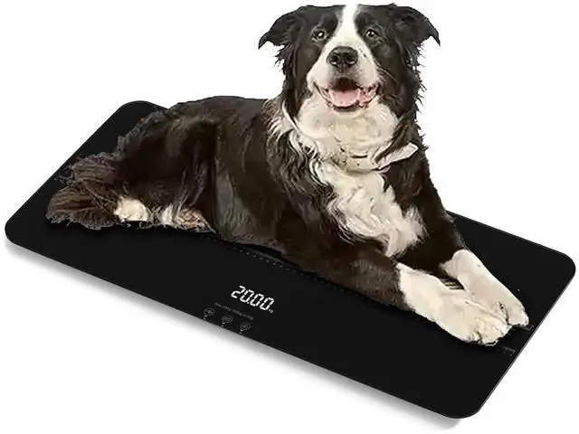 Main image of Medium-Small Veterinary Scale, Dog Scale (±10g) Accuracy, Max 220lbs, Digital Pet Scales and USB Recharging Cord Included, 27 x 13 inch Tempered Glass Platform with Anti Slip Sticker