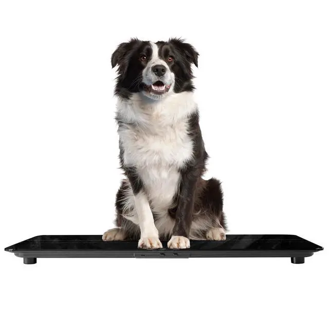 Alt view image 5 of 7 - Medium-Small Veterinary Scale, Dog Scale (±10g) Accuracy, Max 220lbs, Digital Pet Scales and USB Recharging Cord Included, 27 x 13 inch Tempered Glass Platform with Anti Slip Sticker