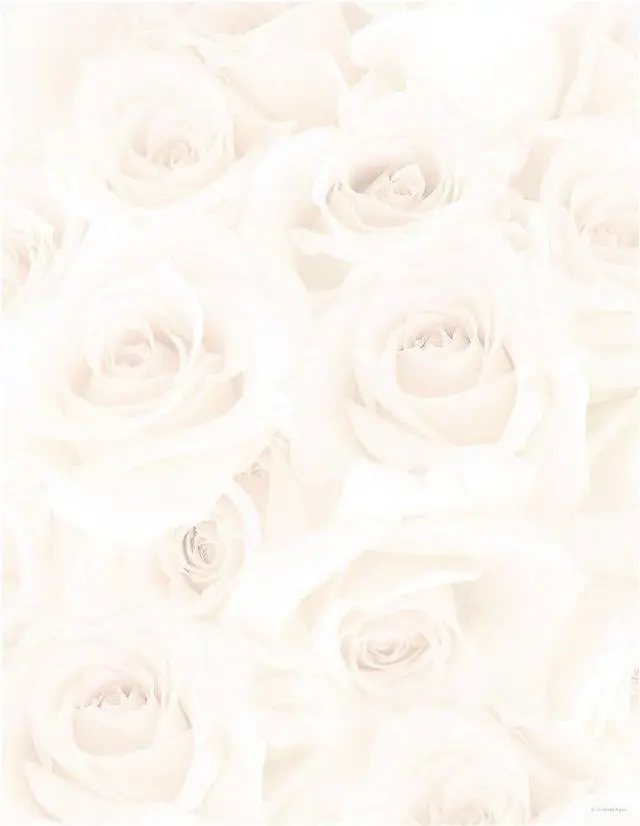Main image of Blush Roses Letterhead, 80 Count, 8.5"x11" (2014334) (Pack of 12)