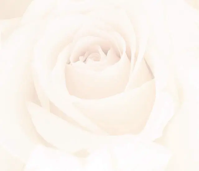 Alt view image 2 of 3 - Blush Roses Letterhead, 80 Count, 8.5"x11" (2014334) (Pack of 12)