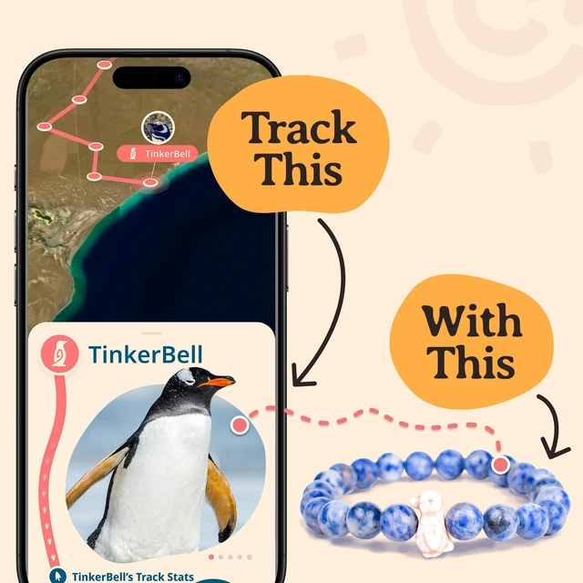 Alt view image 4 of 7 - Penguin Tracking Bracelet Track a Real Penguin's Journey Supports Wildlife Conservation Elastic on Interactive Mobile App Map Unisex Conservation Gift
