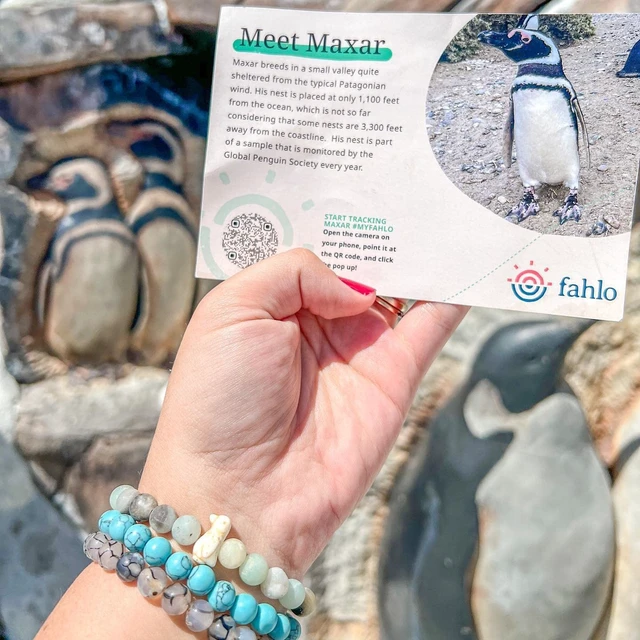 Alt view image 7 of 7 - Penguin Tracking Bracelet Track a Real Penguin's Journey Supports Wildlife Conservation Elastic on Interactive Mobile App Map Unisex Conservation Gift