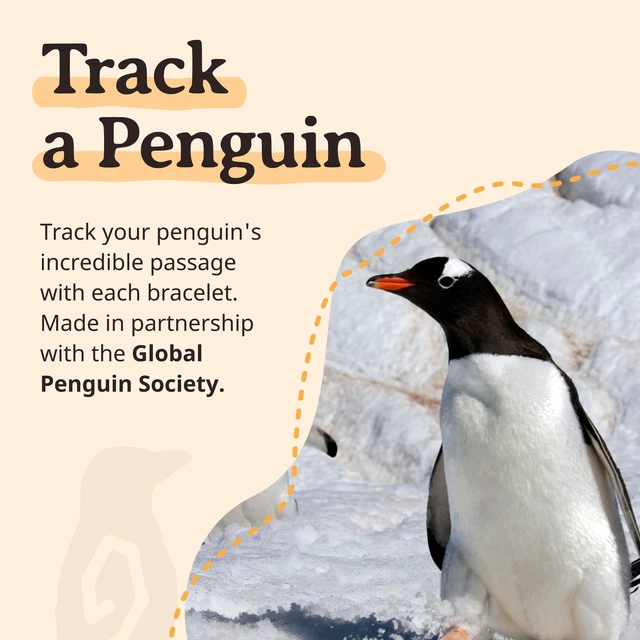 Alt view image 6 of 7 - Penguin Tracking Bracelet Track a Real Penguin's Journey Supports Wildlife Conservation Elastic on Interactive Mobile App Map Unisex Conservation Gift