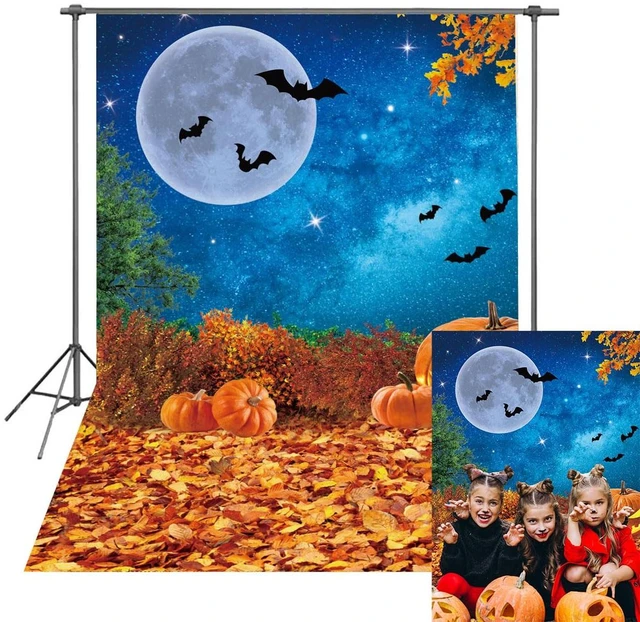 Main image of Halloween Photography Backdrop 6x8FT Moonlight Pumpkin Fallen Leaves Background for Kids Portrait Halloween Baby Shower Birthday Trick or Treat Party Decorations Photo Props