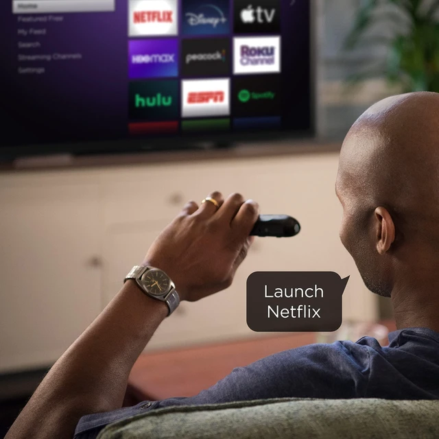 Alt view image 5 of 7 - Voice Remote Grey Netflix Disney + Apple TV HBO Max