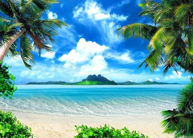 Alt view image 7 of 7 - Summer Beach Theme Photo Background Hawaii Coconut Tree Banquet Scene Photography Background Wedding Party Decorative Banner Photo Props 9x6ft