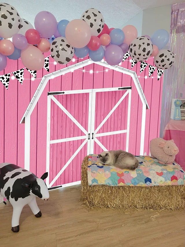 Alt view image 3 of 6 - Pink Barn Door Wooden Farmhouse Backdrop 8×6FT Pink Barn Door Photography Backdrop Rustic Country Scene Farm Party Decoration Photo Props