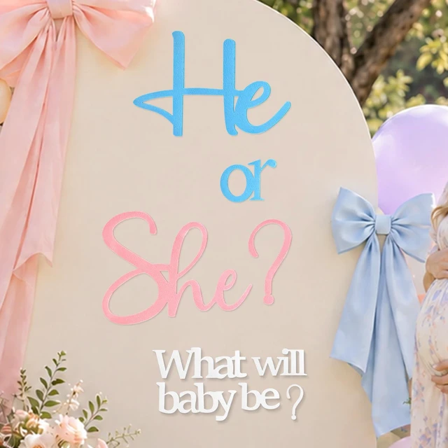 Main image of He or She Gender Reveal Sign for Baby Shower Backdrop, Blue Pink Large Felt Letters for Gender Reveal Backdrop, Baby Shower Party Photo Props and Wall Decor