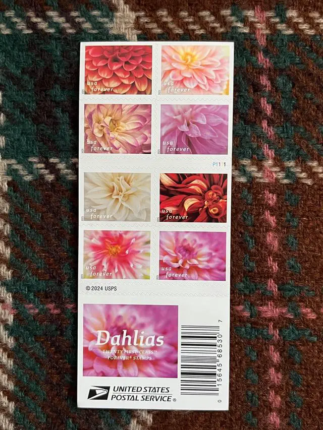 Alt view image 2 of 2 - US Stamps 2025 Dahlias 5 Sheets of 20
