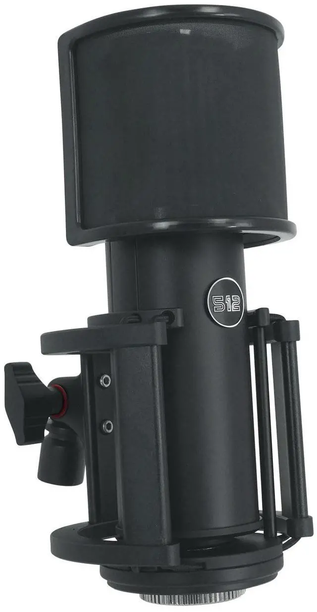 Main image of by Warm Audio Skylight Large Diaphragm Studio Condenser XLR Microphone + Shock Mount + Bag for Recording and Podcasting