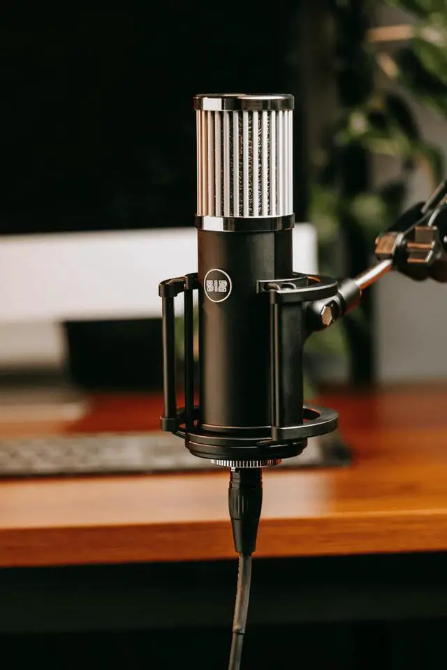 Alt view image 4 of 7 - by Warm Audio Skylight Large Diaphragm Studio Condenser XLR Microphone + Shock Mount + Bag for Recording and Podcasting