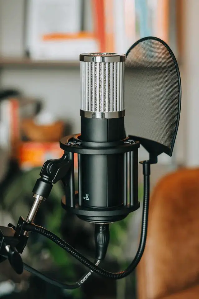 Alt view image 5 of 7 - by Warm Audio Skylight Large Diaphragm Studio Condenser XLR Microphone + Shock Mount + Bag for Recording and Podcasting