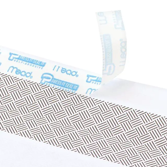 Alt view image 3 of 6 - #10 Security Business Envelopes Letter Size 4-1/8" x 9-1/2" Peel and Seal, Privacy Lined, No-Window, Press-It Seal-It Self-Adhesive for Home & Office Mailing, 500 Count (740010) (Pack of 5)
