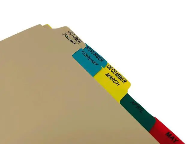 Alt view image 4 of 4 - Heavy Duty Plastic Monthly Divider Set, 12-Tab, Multi-Color, for Side-Opening 3-Ring Binders, Case of 10