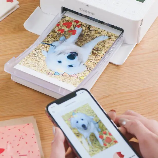 Alt view image 4 of 7 - Selphy CP1500 Photo Printer Bundle (White) with KP-108 Paper (108 Sheets) 3 Color Ink Cartridges & Tudak Cleaning Cloth Wireless Compact Dye-Sub Printer Kit