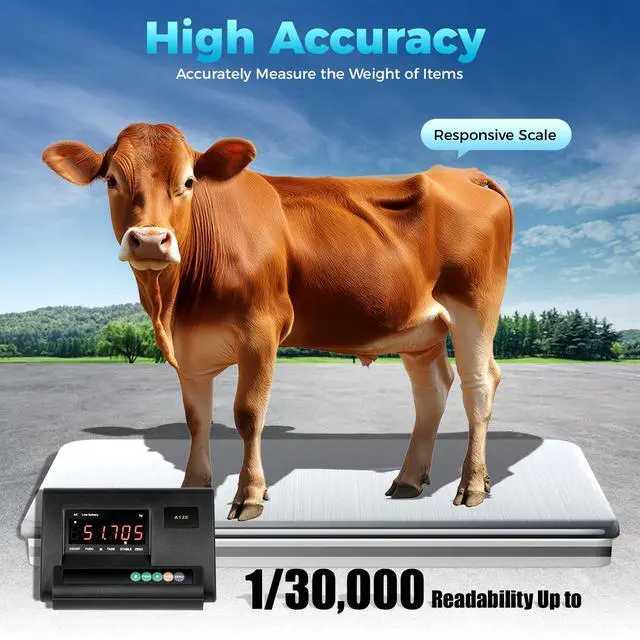 Alt view image 4 of 7 - Digital Livestock Scale Kit, Animal Scale 5000lbs High Precision Indicator Floor Scale Pet Scale with Large Stainless Platform Vet Scale with 4-Wire Junction Box for Dog, Sheep, Cattle