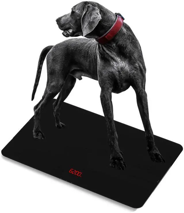 Main image of Medium-Large Breed Veterinary Scale, Dog Scale (±10g) Accuracy, Red LED, 32 x 20 inch Tempered Glass Platform with Anti Slip Sticker, Digital Pet Scales