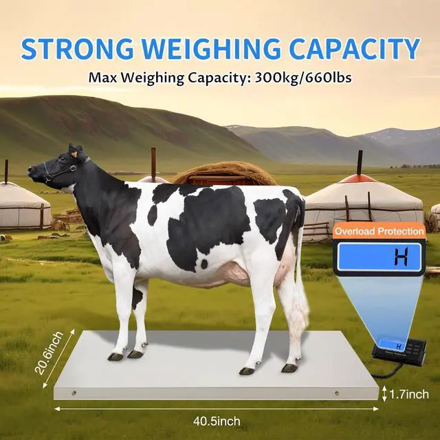 Alt view image 6 of 7 - Livestock Scale, 300Kg/660Lbs Digital Postal Shipping Scale Heavy Duty Vet Pet Scale with 103x53cm Large Stainless Steel Platform for Animal Dog Pig Cat Goat Cattle Sheep