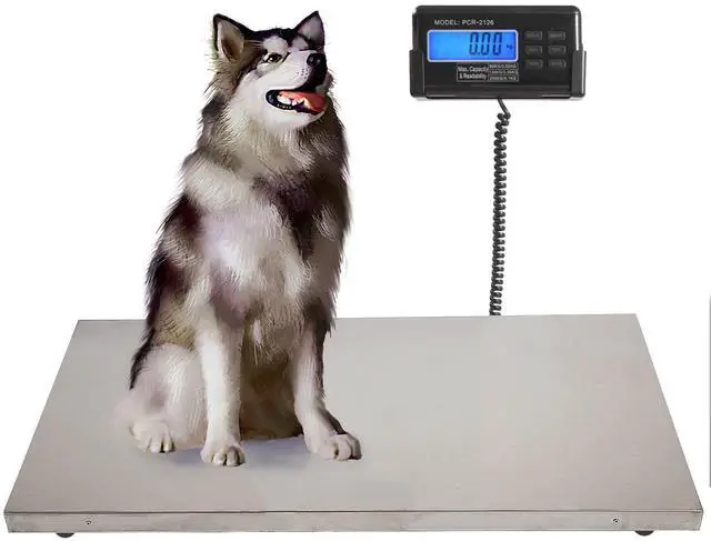 Main image of Livestock Scale, 200Kg/440Lbs Digital Postal Shipping Scale Heavy Duty Vet Pet Scale with 103x53cm Large Stainless Steel Platform for Animal Dog Pig Cat Goat Cattle Sheep