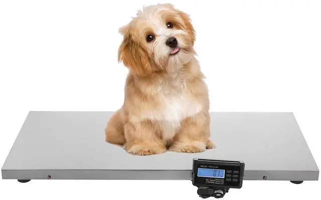 Main image of Veterinary Scale, 440LB Heavy Duty Digital Livestock Platform Scale with Power Adapter for Vet Animal Pet Cat Dog Cattle Goat, Small Livestock Scale Stainless Steel Platter